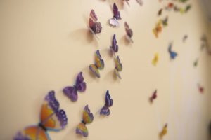 Pediatric decor at Northwood Family Dental Center